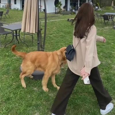燕振昌